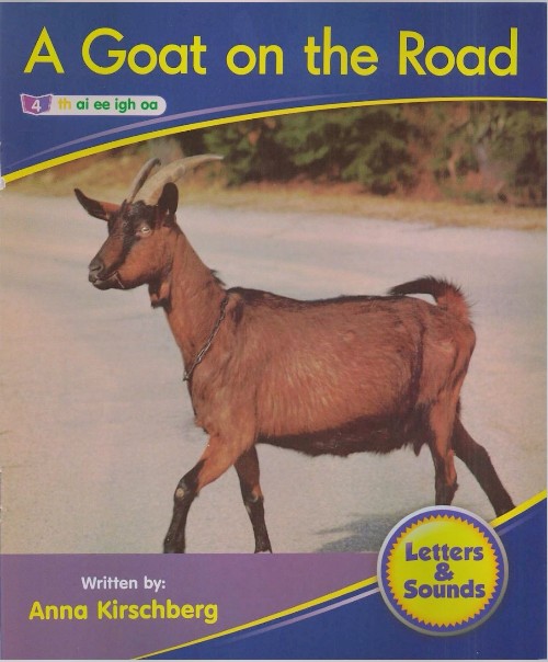 a goat on the road