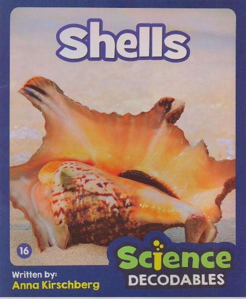 shells