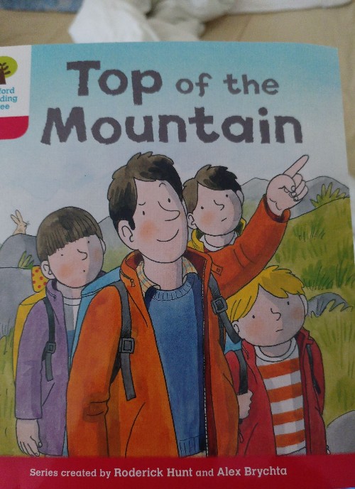 Top of the mountain
