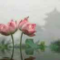 潘燕芝