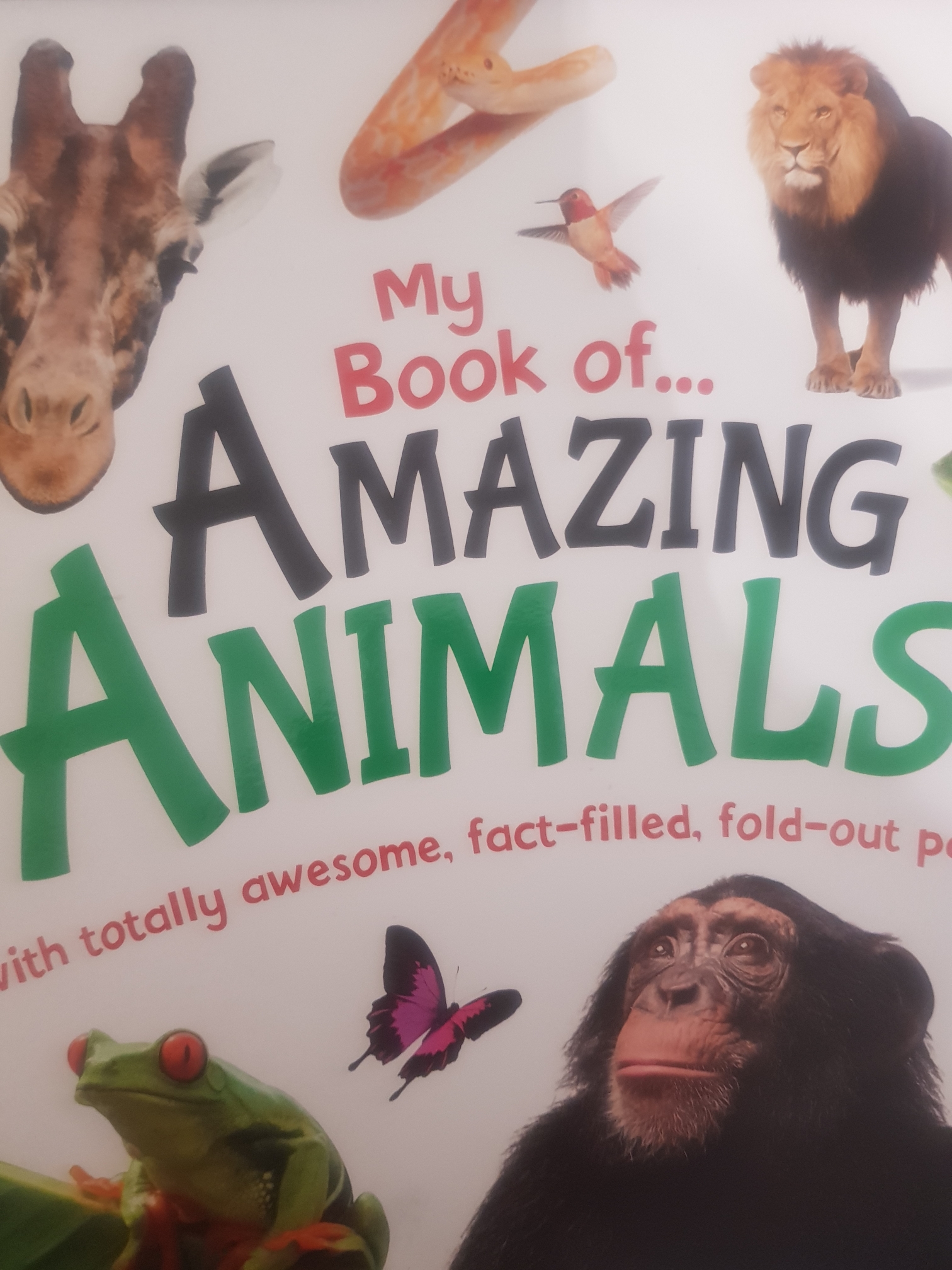 My Book of Amazing Animals