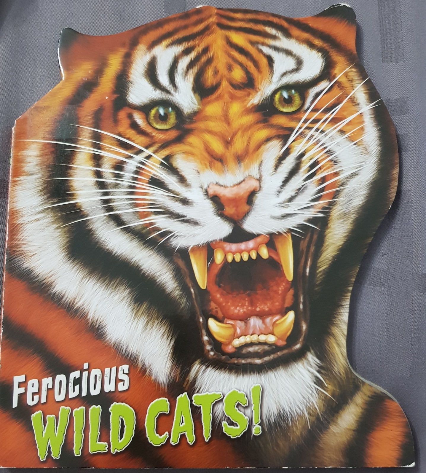 Ferocious Wild Cats!