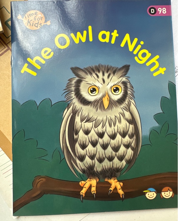 The owl at night