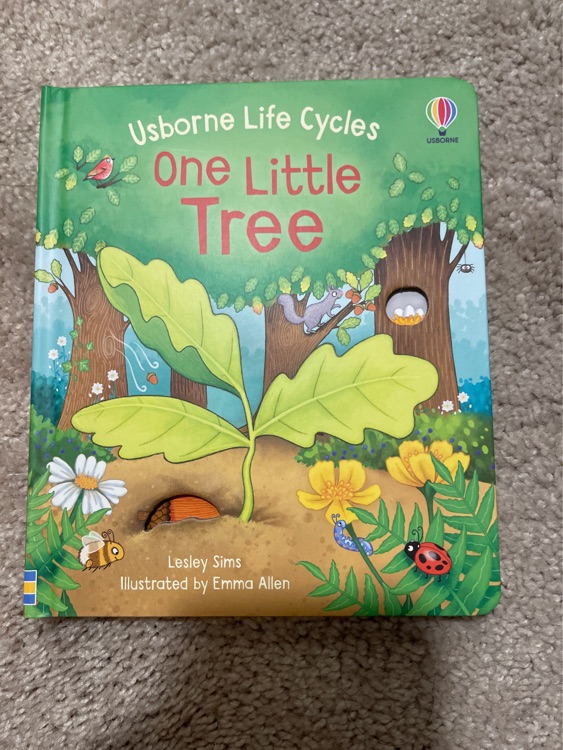 Usborne Life Cycles One Little Tree