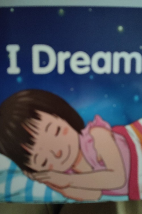 海尼曼I dream