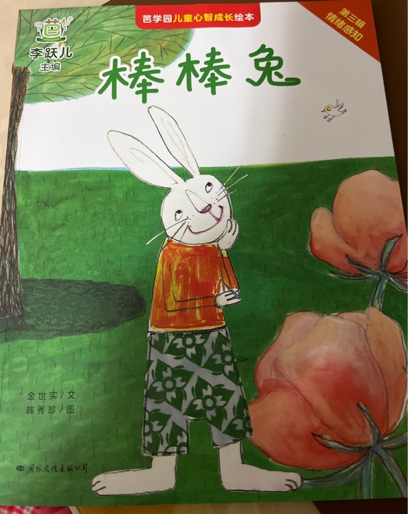 棒棒兔