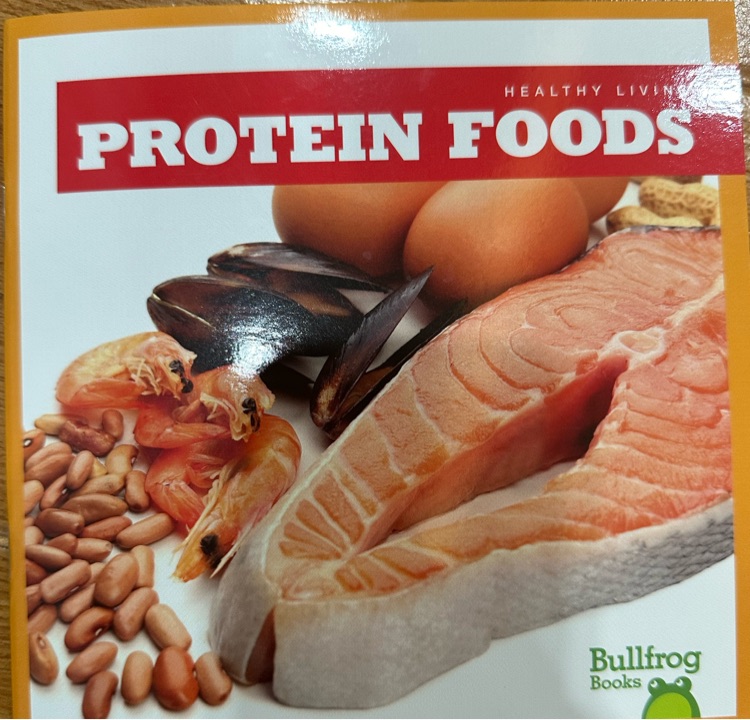 Protein Food