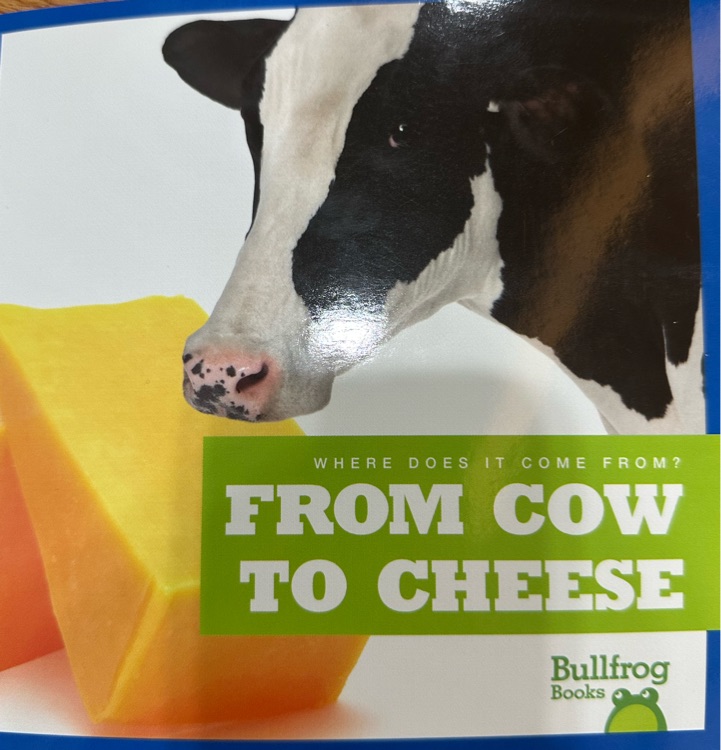 From Cow to Cheese