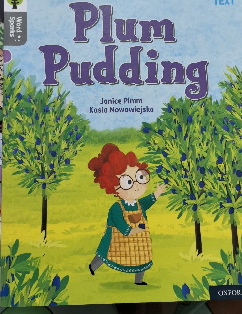 plum pudding