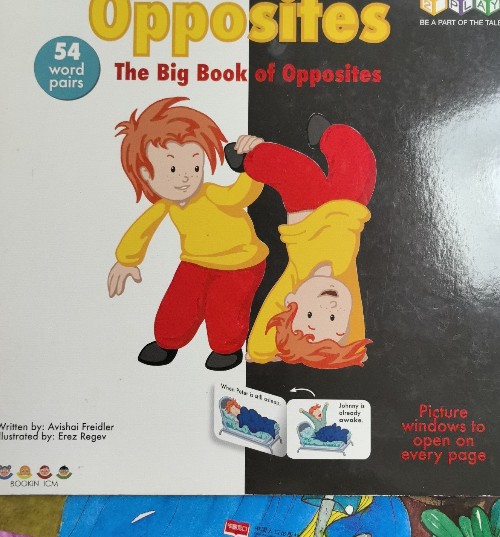 the big book of opposites