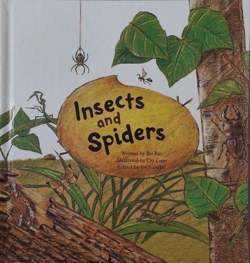 Insects and Spiders