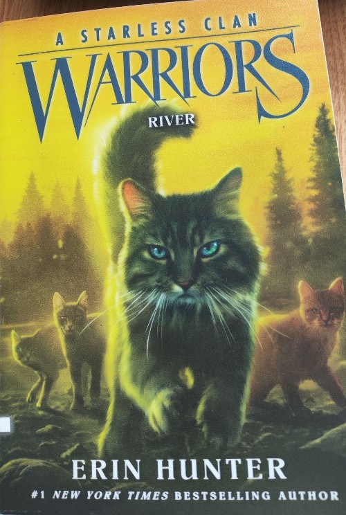 Warriors :a starless clan1  river