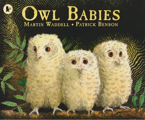 OWL BABIES