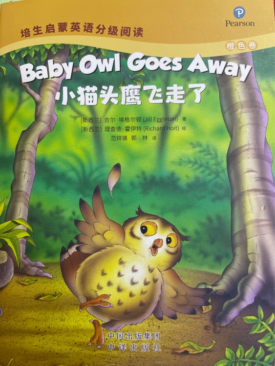 baby owl goes away