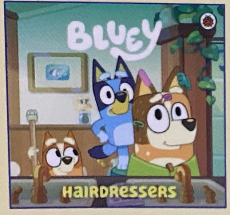 Bluey hairdressers