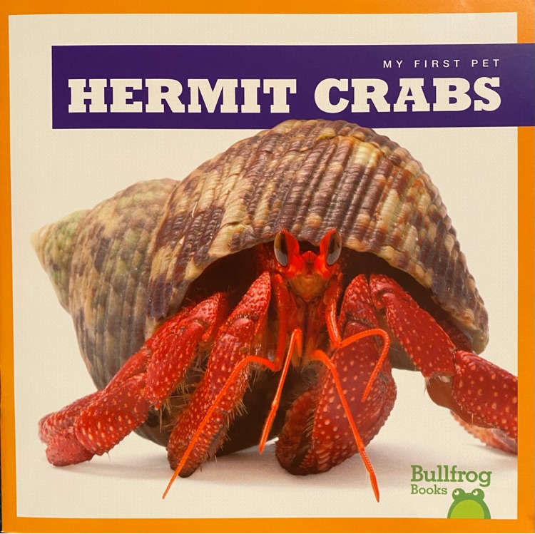 Hermit Crabs (Bullfrog Books: My First Pet)