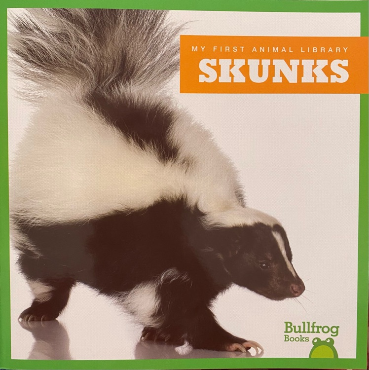 Skunks (Bullfrog Books: My First Animal Library)