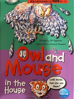 owl and mouse in the house