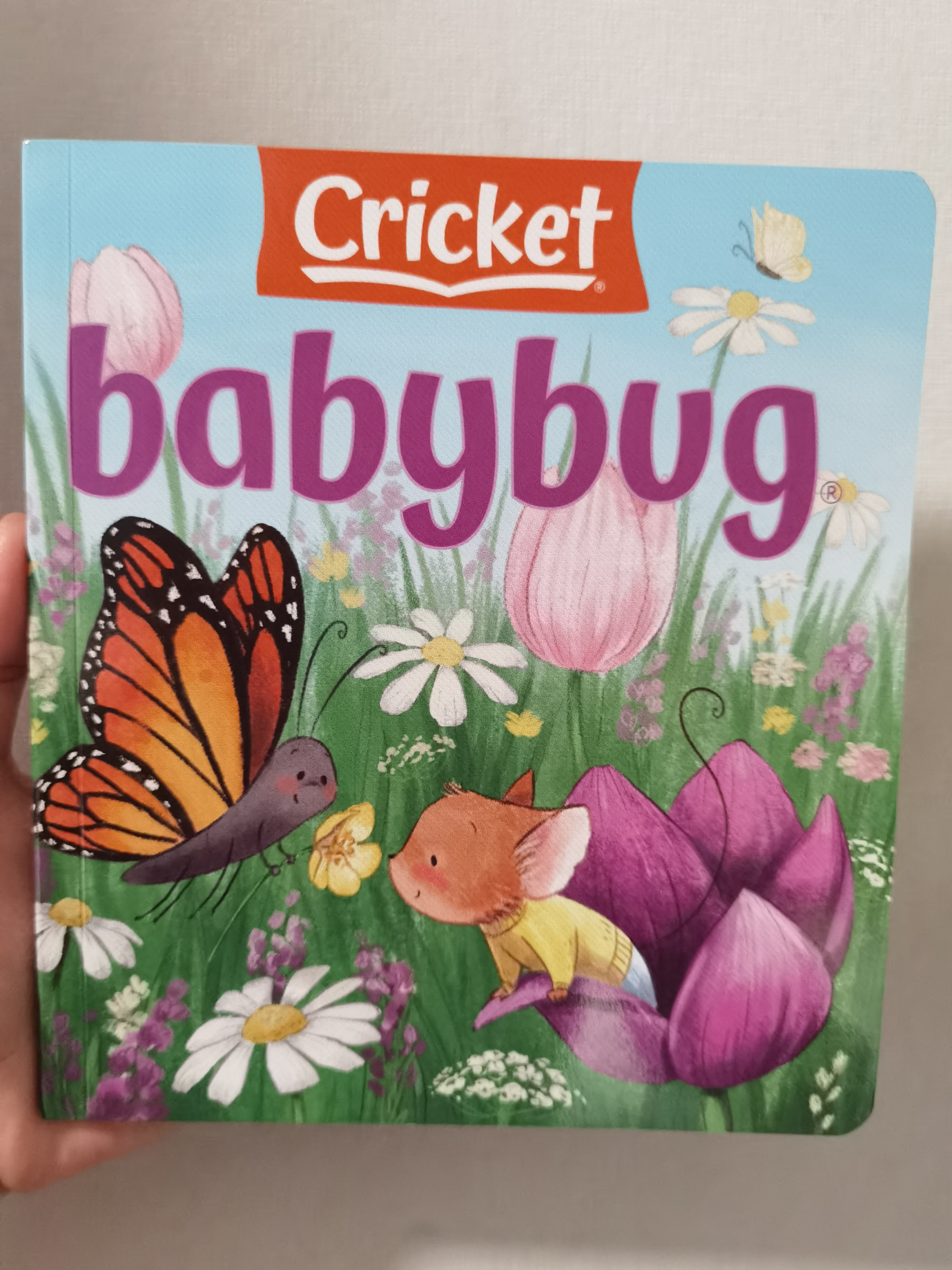 蟲(chóng)寶寶雜志babybug 2022.04