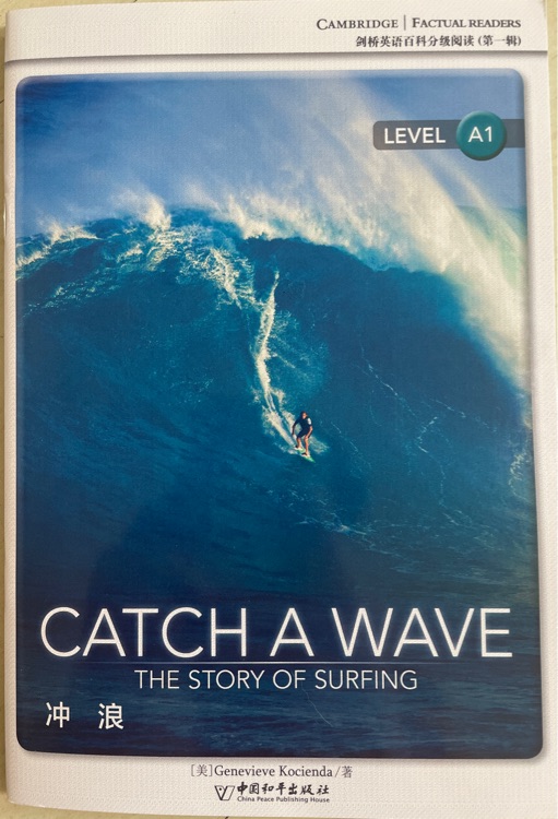 CATCH A WAVE