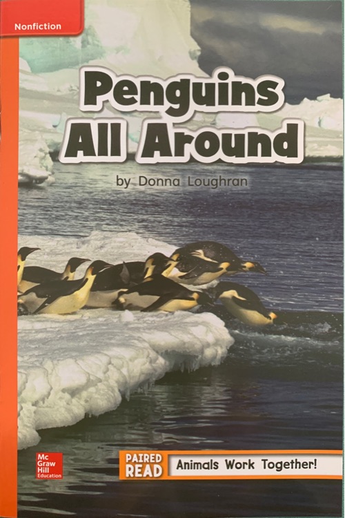 Penguins All Around