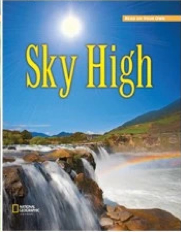 Reach into Phonics 1 (Read On Your Own Books): Sky High