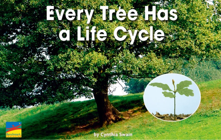 Every Tree Has a Life Cycle