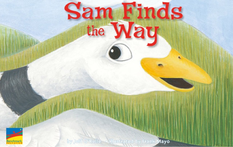 Sam Finds the Way