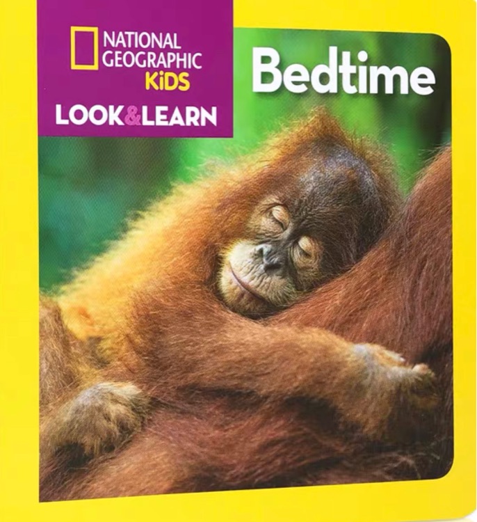 National Geographic Little Kids Look and Learn: Bedtime