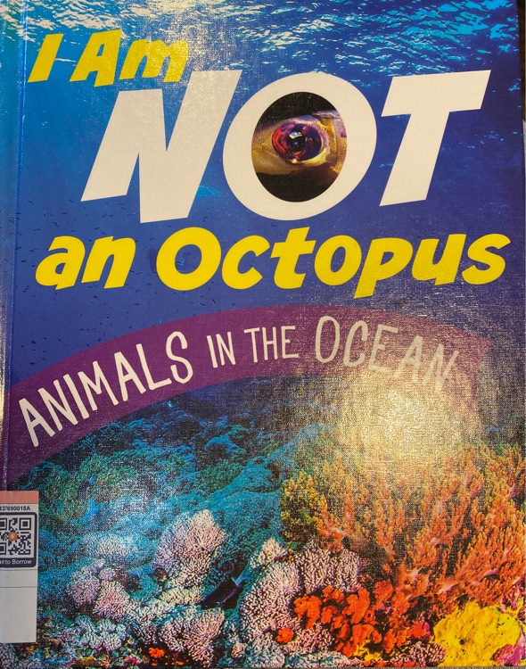 I am not an octopus animals in the ocean