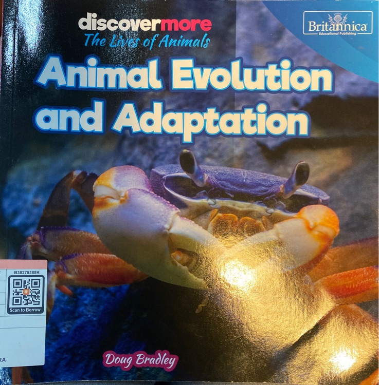 Animal Evolution and Adaptation