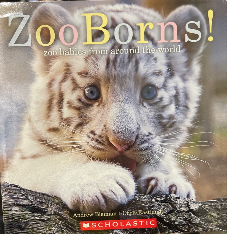 Zoo Borns!