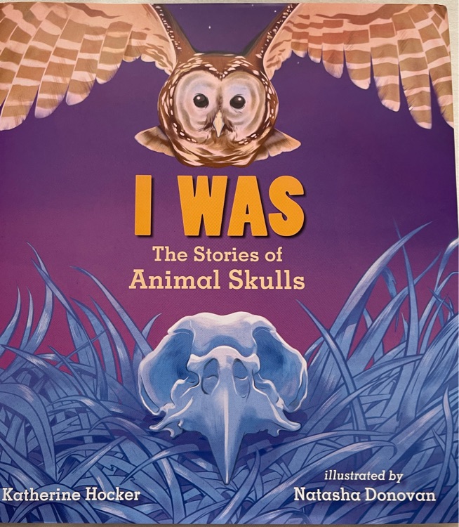 I WAS The Stories of Animal Skulls