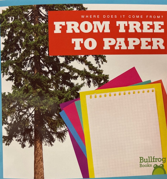 from tree to paper