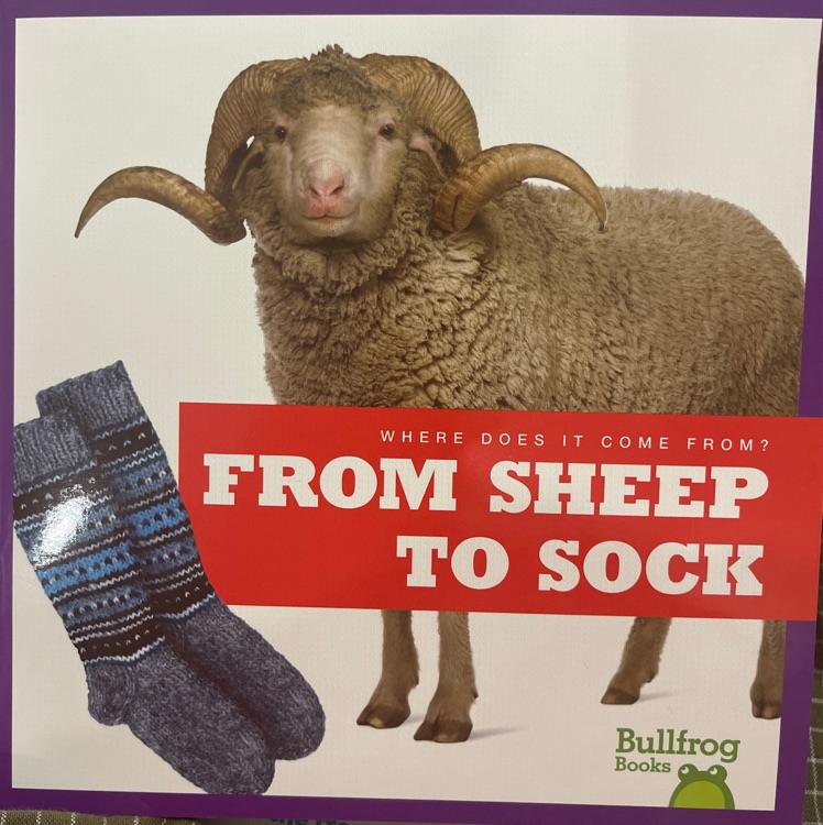 FROM SHEEP TO SOCK