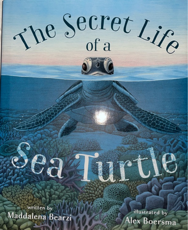 The Secret Life of a Sea Turtle