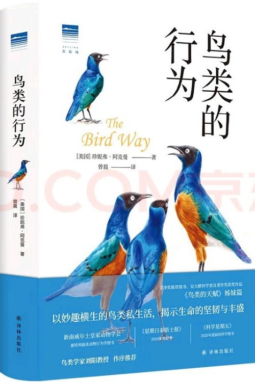 鳥類的行為