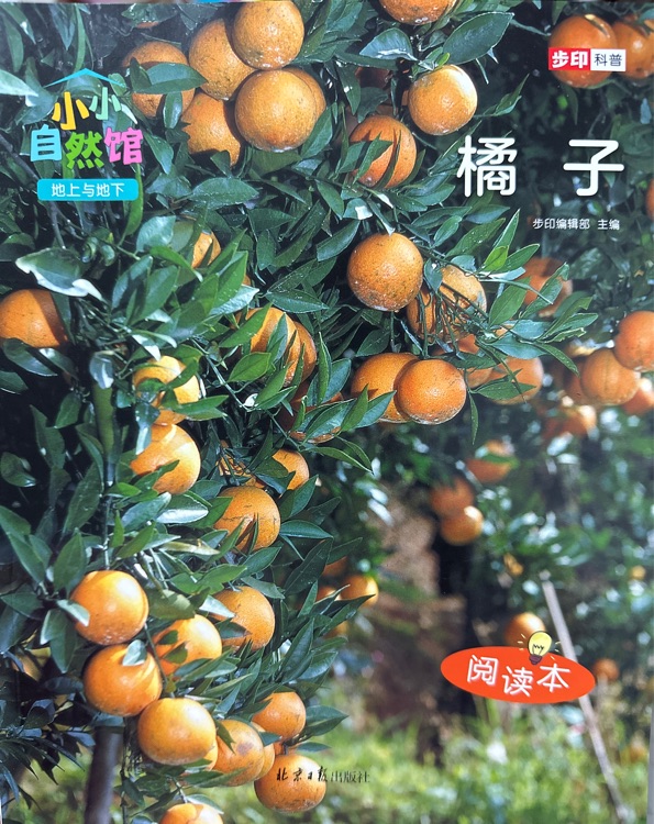 小小自然館 橘子