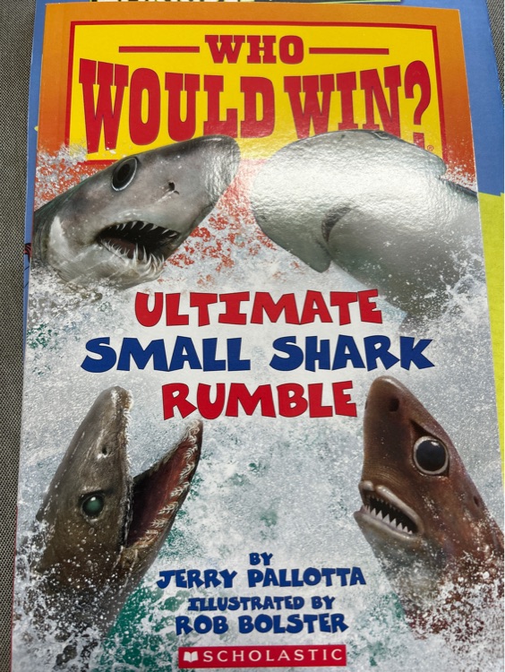 Ultimate Small Shark Rumble ( Who Would Win? )