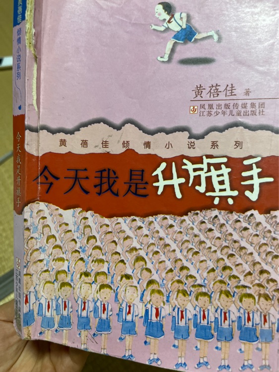 今天我是升旗手