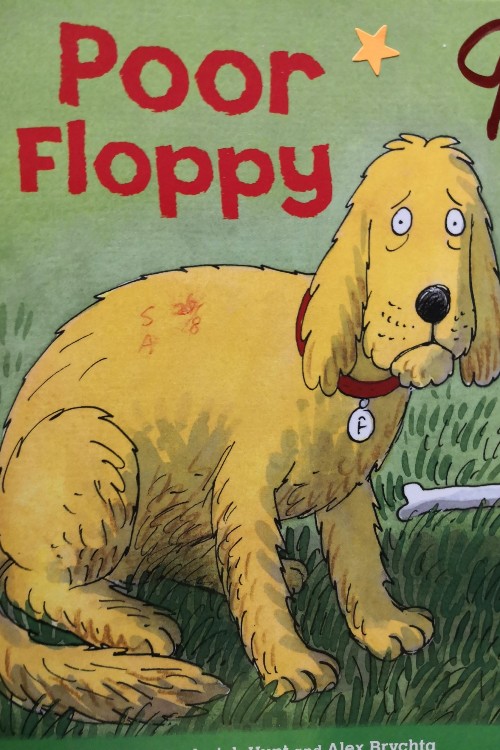 Poor Floppy