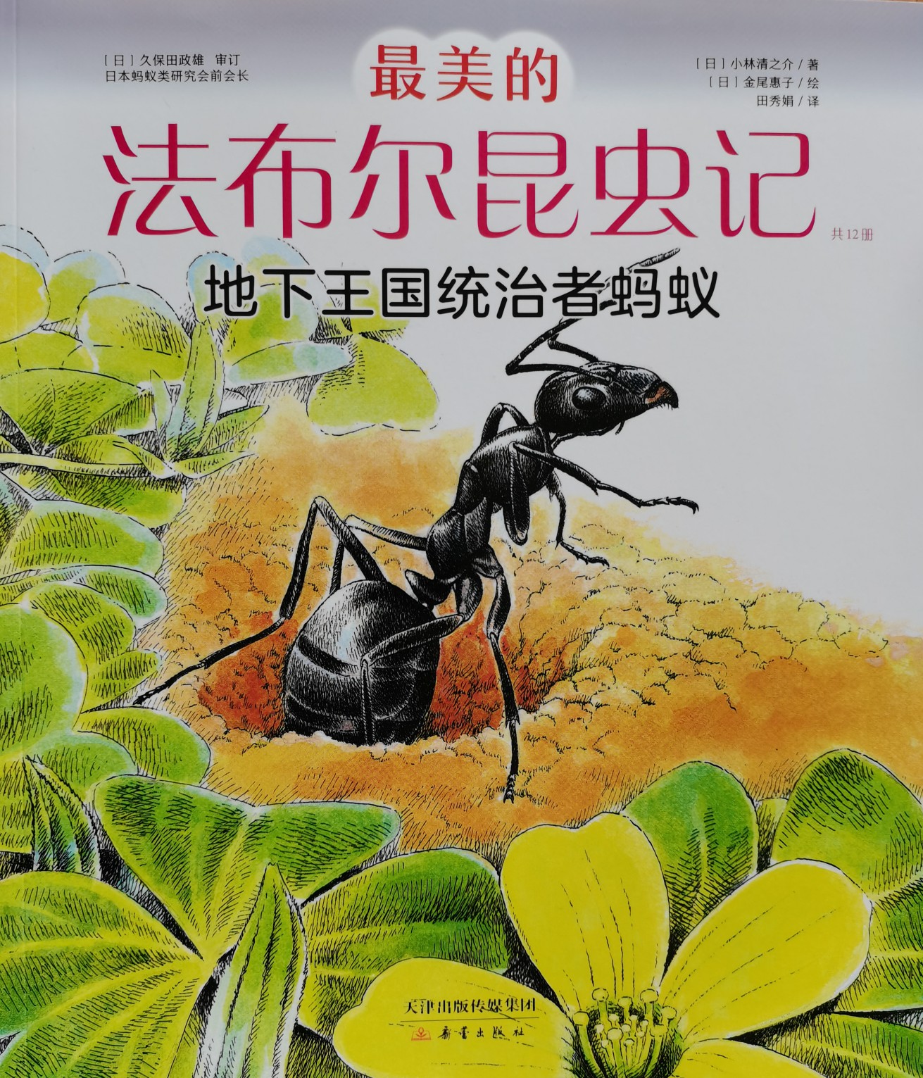 地下王國(guó)統(tǒng)治者螞蟻