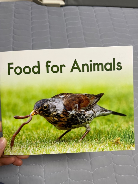 Food for animals