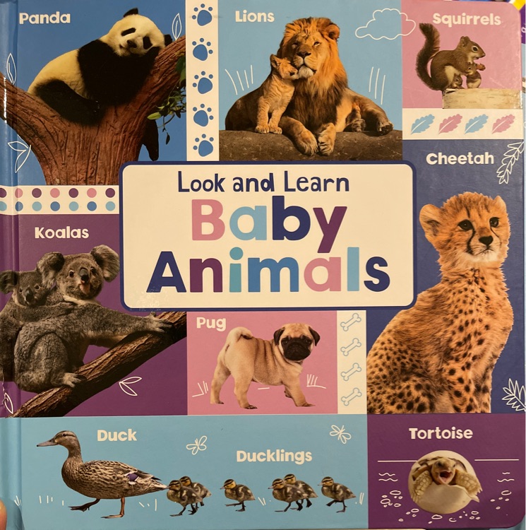 Look and learn Baby Animals