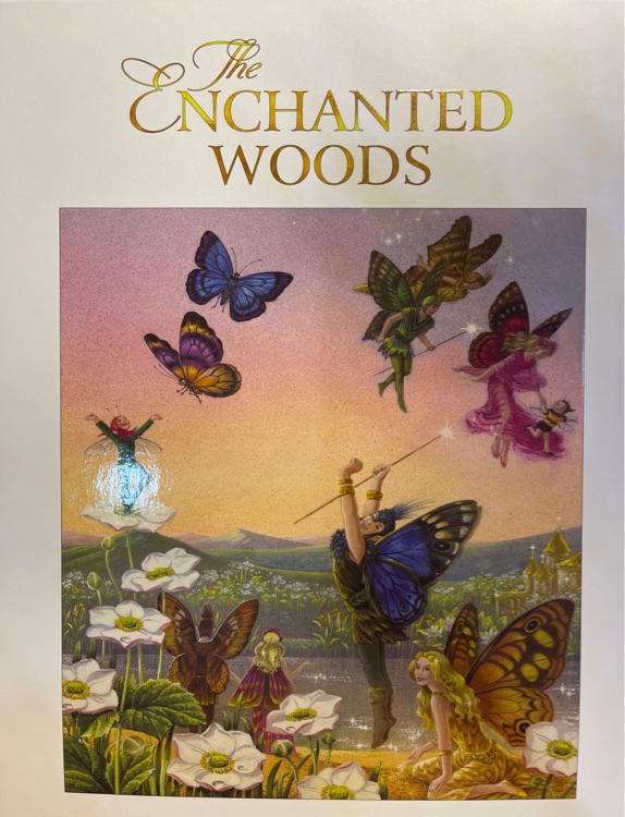 The enchanted woods
