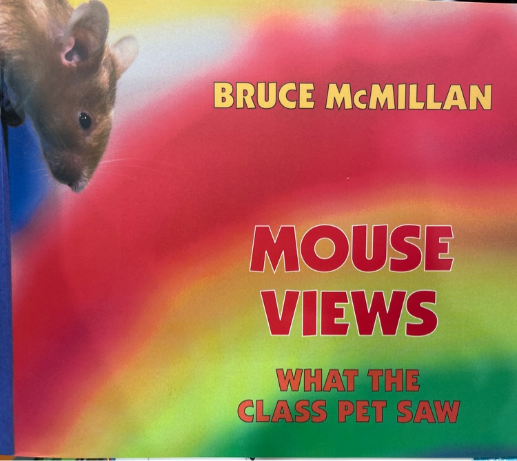 Mouse Views