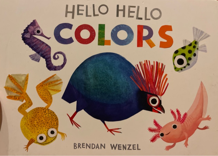Hello Hello Colors