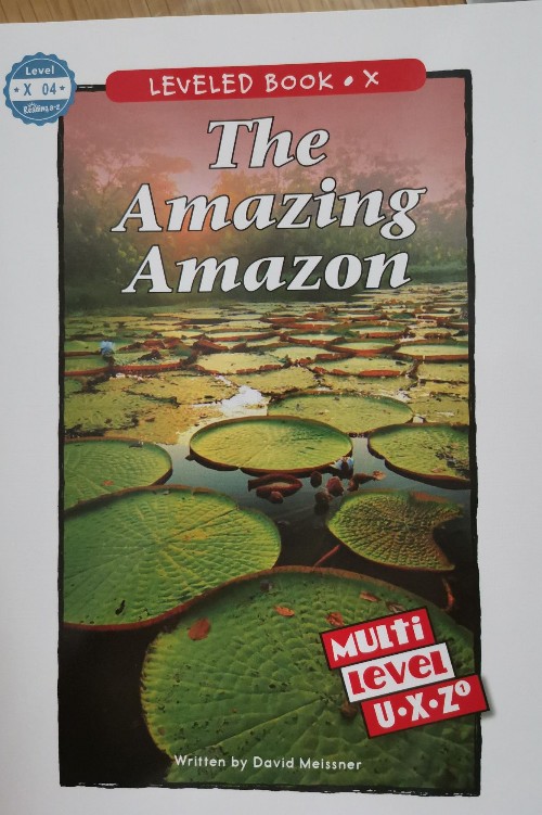 the amazing amazon