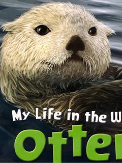 ANIMAL PLANET: My Life in the Wild Otter