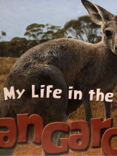 ANIMAL PLANET: My life in the wild Kangaroo